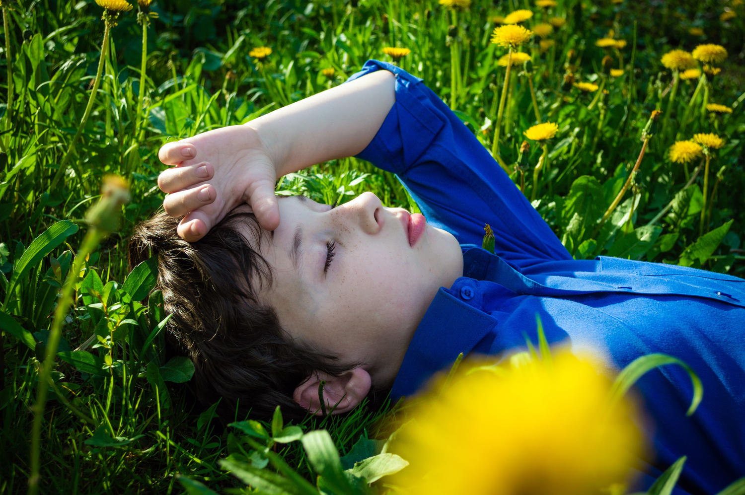 A young boy lying relaxed in a field of grass and dandelions